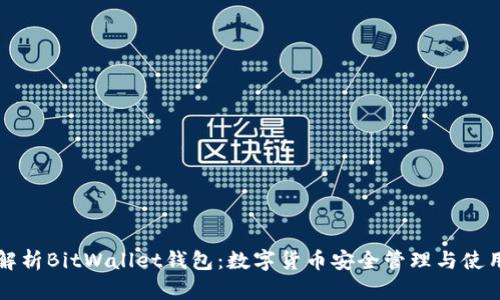 全面解析BitWallet钱包：数字货币安全管理与使用指南