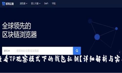 如何查看TP观察模式下的钱包私钥？详细解析与实用指南