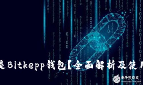 什么是Bitkepp钱包？全面解析及使用指南