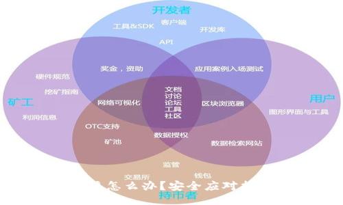 TP钱包被盗了该怎么办？安全应对指南及预防措施