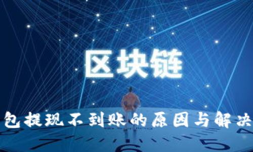 TP钱包提现不到账的原因与解决方案