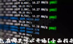 数字钱包在哪里可以开通？全面指南与建议