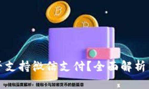 TP钱包是否支持微信支付？全面解析与使用指南