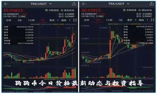 狗狗币今日价格最新动态与投资指导