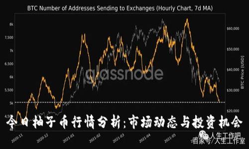 今日柚子币行情分析：市场动态与投资机会