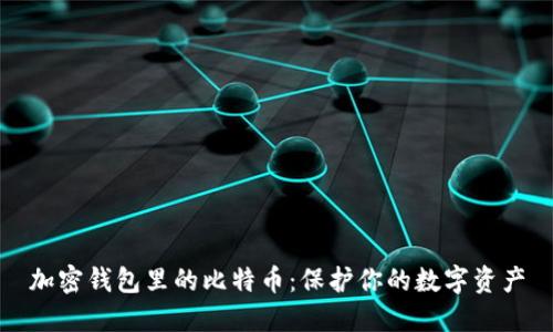 加密钱包里的比特币：保护你的数字资产