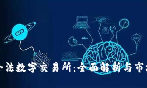 中国合法数字交易所：全面解析与市场现状