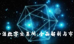 中国合法数字交易所：全