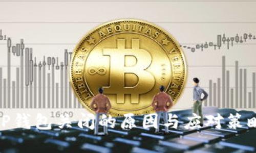 TP钱包关闭的原因与应对策略