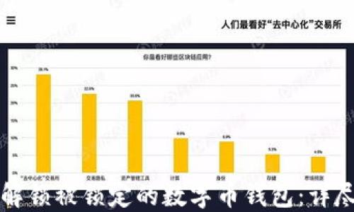 
如何解锁被锁定的数字币钱包：详尽指南