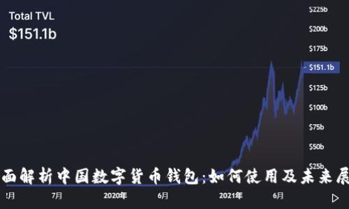 全面解析中国数字货币钱包：如何使用及未来展望