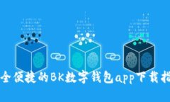 安全便捷的BK数字钱包ap