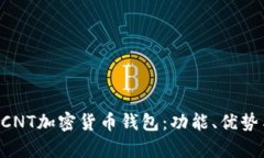 全面解析DCNT加密货币钱包