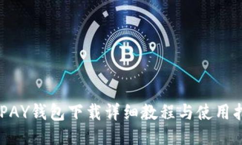 CGPAY钱包下载详细教程与使用指南