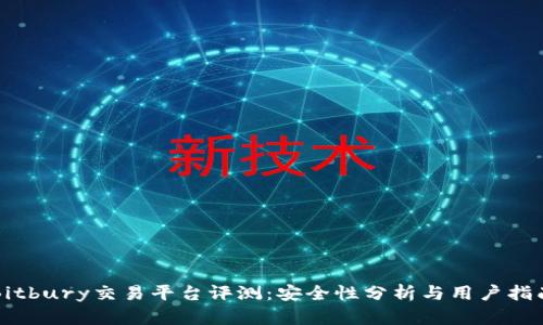 Bitbury交易平台评测：安全性分析与用户指南