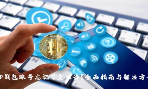 TP钱包账号忘记了怎么办？全面指南与解决方案