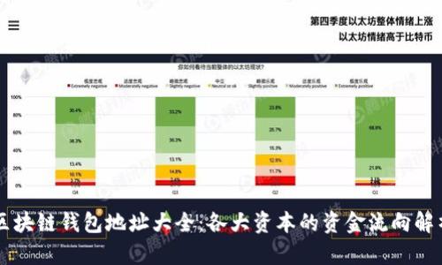 区块链钱包地址大全：各大资本的资金流向解析