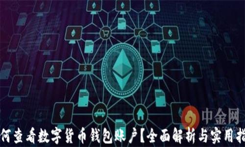 
如何查看数字货币钱包账户？全面解析与实用指南