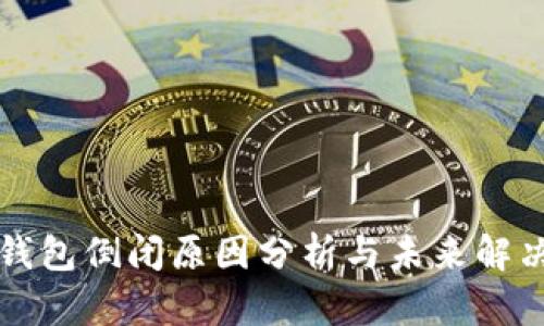 库神钱包倒闭原因分析与未来解决方案