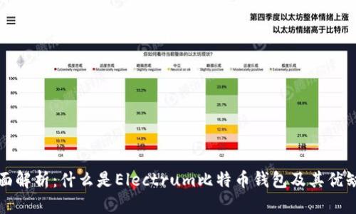 全面解析：什么是Electrum比特币钱包及其优缺点