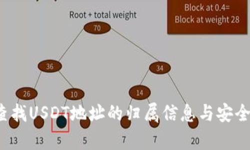  如何查找USDT地址的归属信息与安全性分析