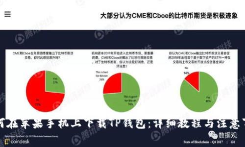 如何在苹果手机上下载TP钱包：详细教程与注意事项