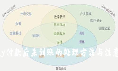 OKPay付款后未到账的处理方法与注意事项