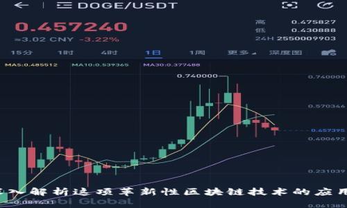 OK链：深入解析这项革新性区块链技术的应用与前景