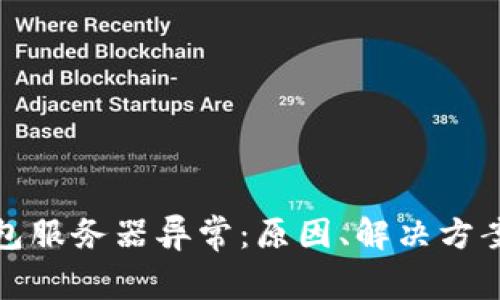 加密货币钱包服务器异常：原因、解决方案与用户指南