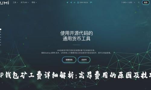 TP钱包矿工费详细解析：高昂费用的原因及技巧