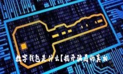 数字钱包是什么？揭开骗