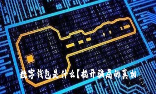 数字钱包是什么？揭开骗局的真相