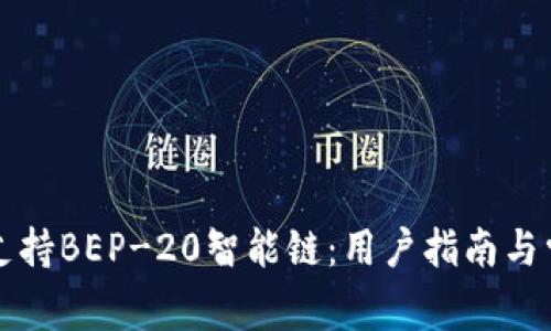 TP钱包如何支持BEP-20智能链：用户指南与常见问题解析