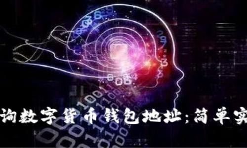 如何查询数字货币钱包地址：简单实用指南