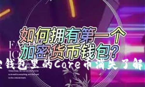 小狐狸钱包里的Core币消失了解决办法