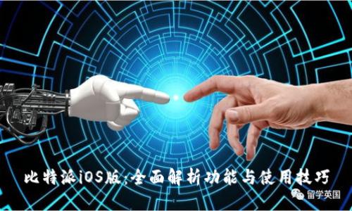 比特派iOS版：全面解析功能与使用技巧