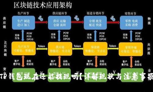 TP钱包现在还能提现吗？详解现状与注意事项