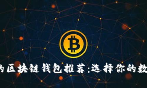 2023年最好用的区块链钱包推荐：选择你的数字资产保管工具