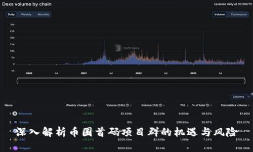 深入解析币圈首码项目群的机遇与风险