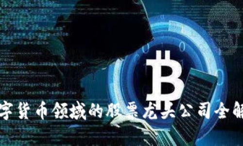 数字货币领域的股票龙头公司全解析