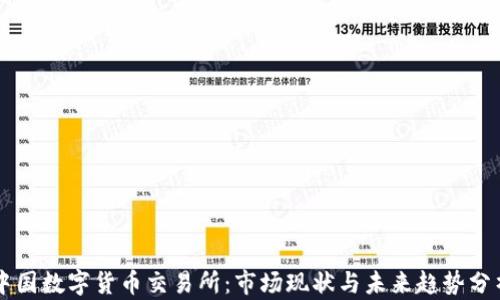 
中国数字货币交易所：市场现状与未来趋势分析