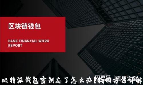 
比特派钱包密钥忘了怎么办？找回方法详解