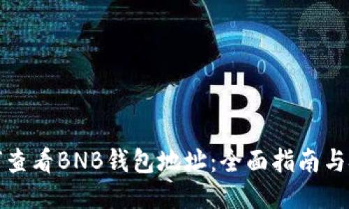 如何查看BNB钱包地址：全面指南与技巧