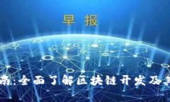 初学者指南：全面了解区