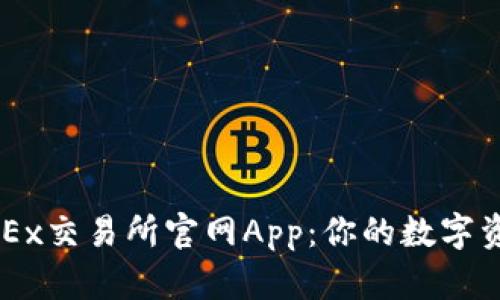 全面解析OKEx交易所官网App：你的数字资产管理助手