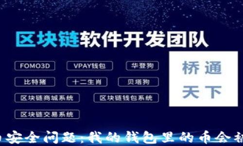 
虚拟币安全问题：我的钱包里的币会被盗吗？