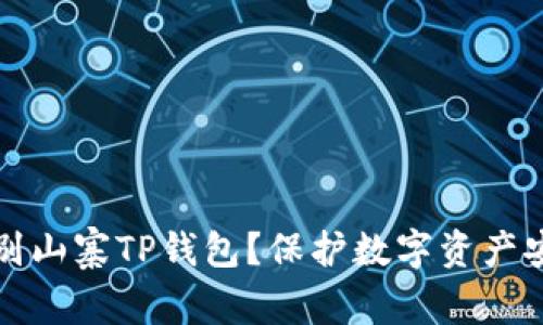 如何识别山寨TP钱包？保护数字资产安全指南
