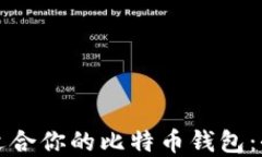 如何选择适合你的比特币钱包：全方位指南