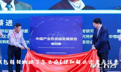TP钱包转错地址了怎么办？详细解决方案与注意事项