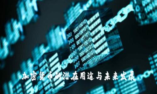 加密货币的潜在用途与未来发展